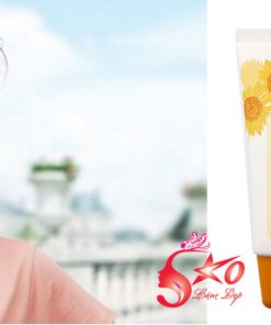 Top 3 kem chống nắng của The Face Shop bạn nên dùng cho hè này