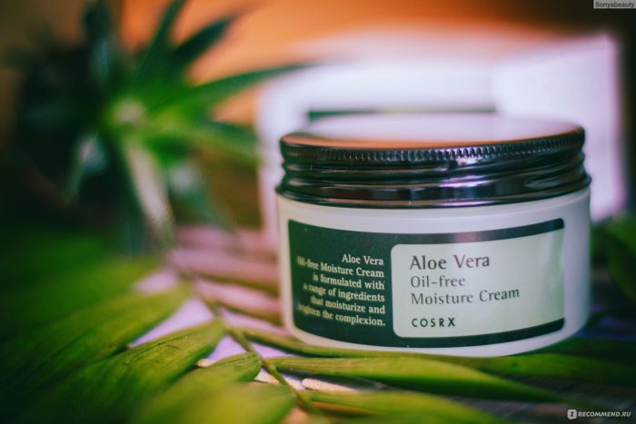 cosrx-aloe-vera-oil-free-moisture-cream-6 cosrx-aloe-vera-oil-free-moisture-cream-6