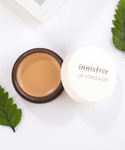 Kem Che Khuyết Điểm Môi Innisfree Tapping Lip Concealer