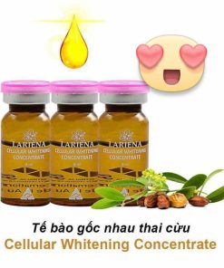 te bao goc nhau thai cuu laviena placenta serum concentrate 8
