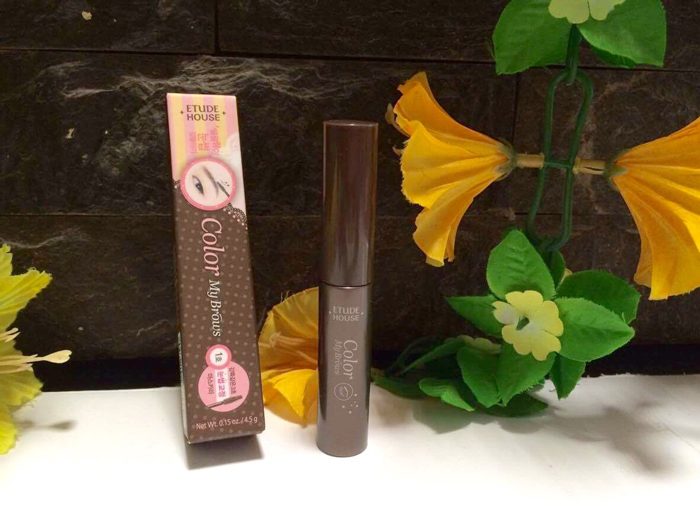mascara chan may etude house color my brows 12