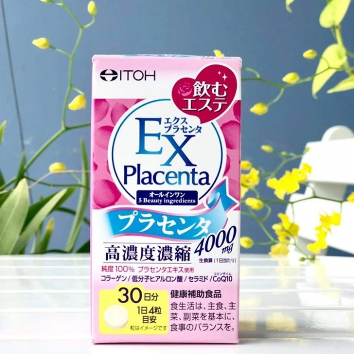 ex placenta itoh 6