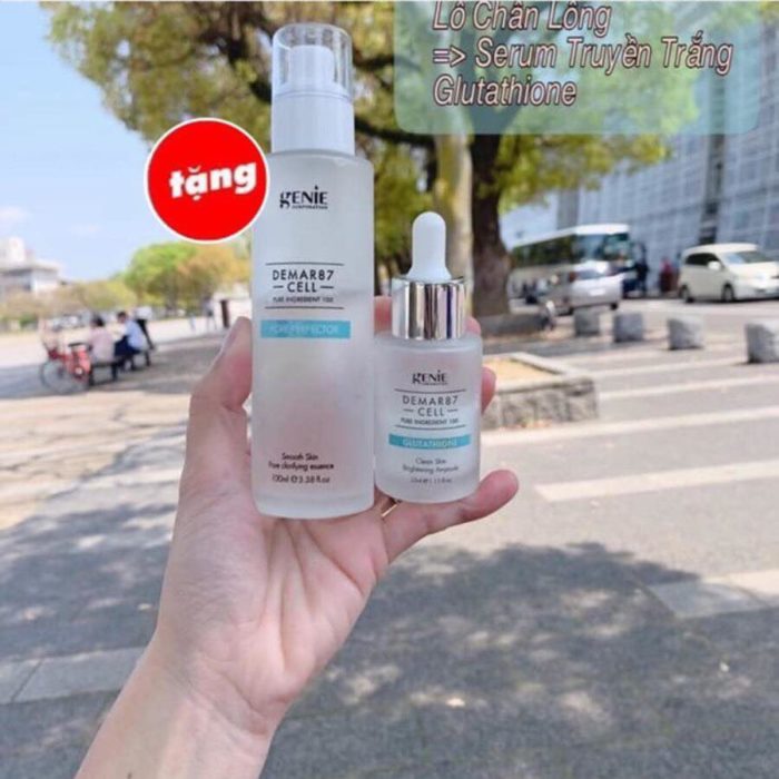 Dermar87 cell glutathione 15