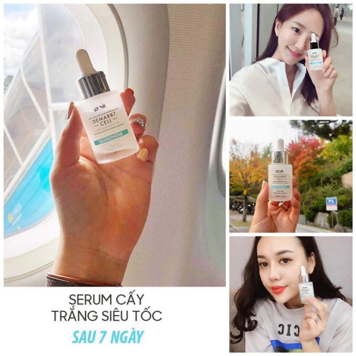 Dermar87 cell glutathione 7