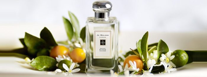nuoc hoa jo malone wild bluebell 6 1