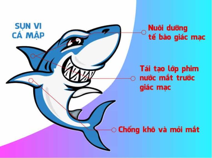 vien uong sun vi ca map squalene orihiro 360 vien 5
