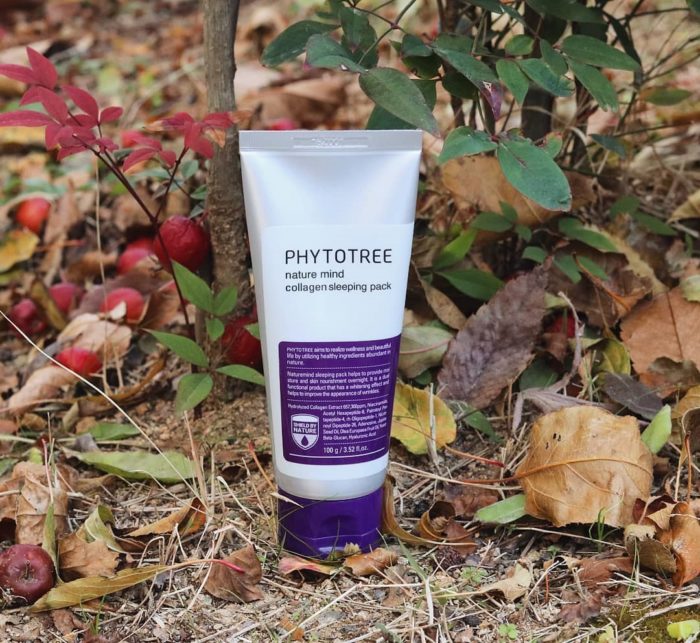 kem ngu cang bong tai sinh da phytotree nature mind collagen sleeping pask 5