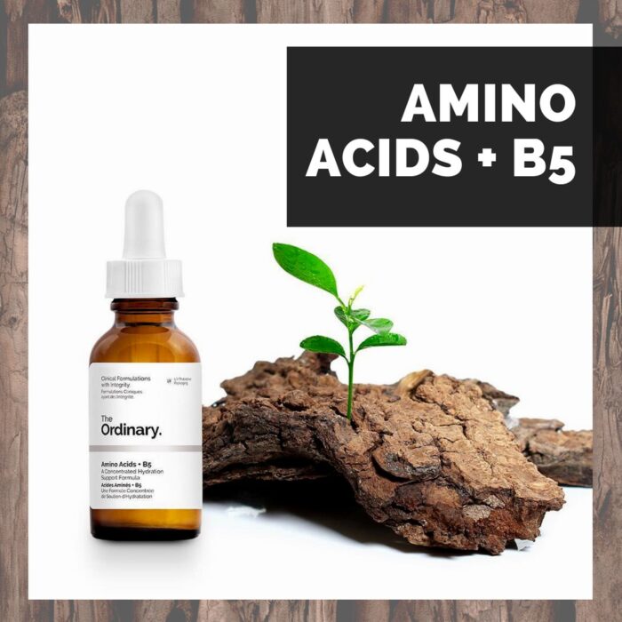 serum the ordinary amino acid b5 2