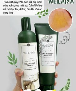 dau goi weilaiya beauty achieve dream2