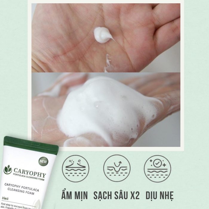 Sữa rửa mặt Caryophy Portulaca Cleansing Foam