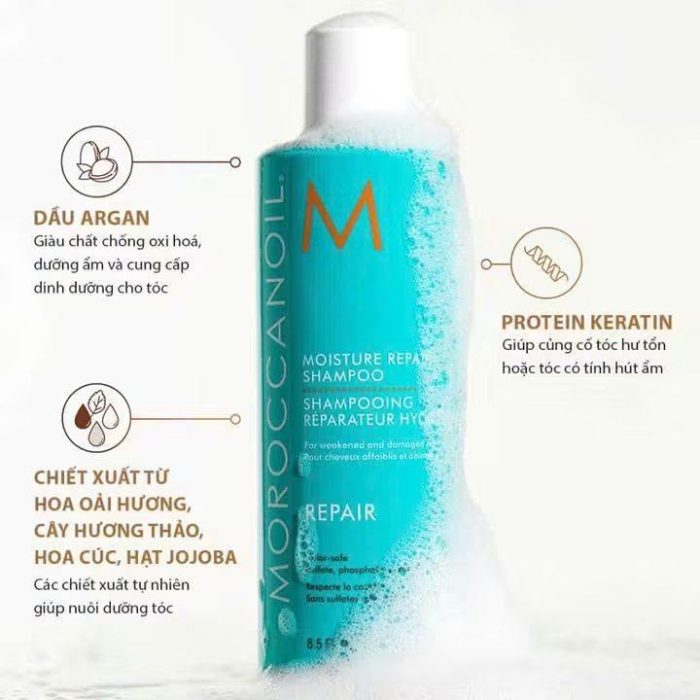 dau goi moroccanoil2